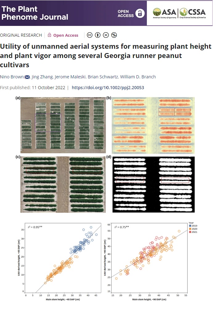 UAS in peanut field trials