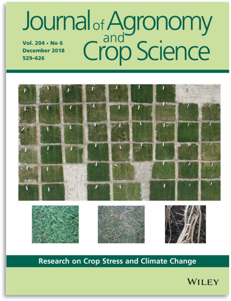 Drought responses of above- and below-ground in turfgrass